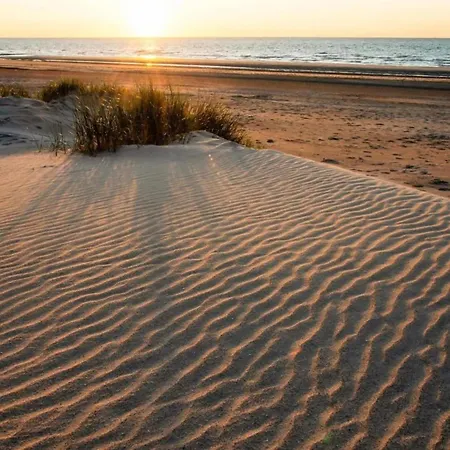 Seafront In Marina *