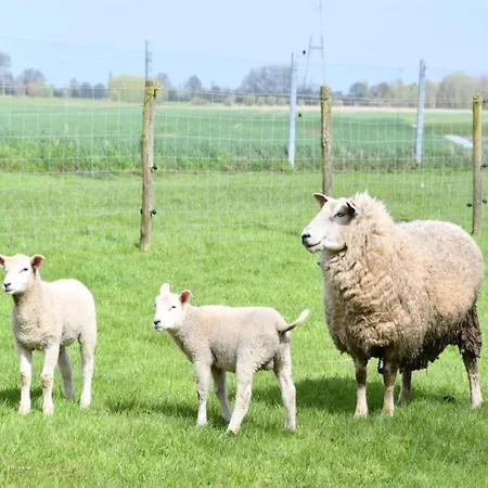 Apartman Seafront In Marina Nieuwpoort