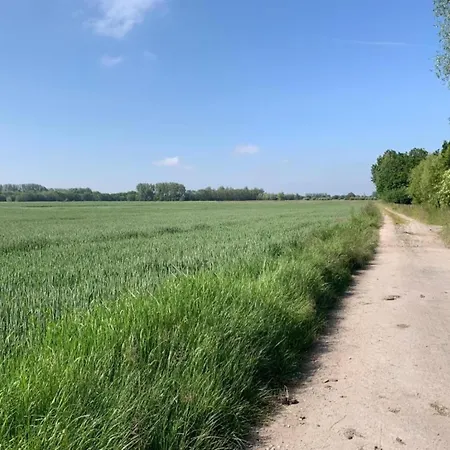 Seafront In Marina 아파트 *