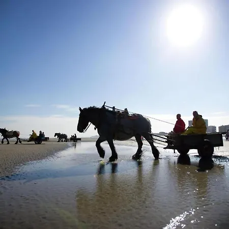 Seafront In Marina Apartman