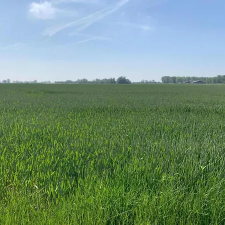 Seafront In Marina 아파트 *