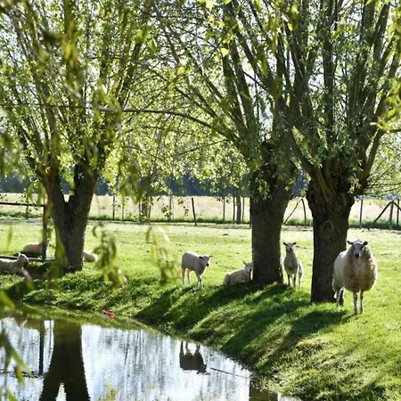 Seafront In Marina 니우포르트