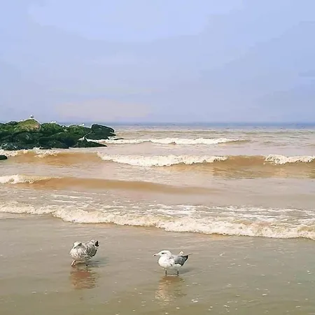 Apartman Seafront In Marina