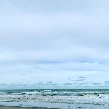 Seafront In Marina *